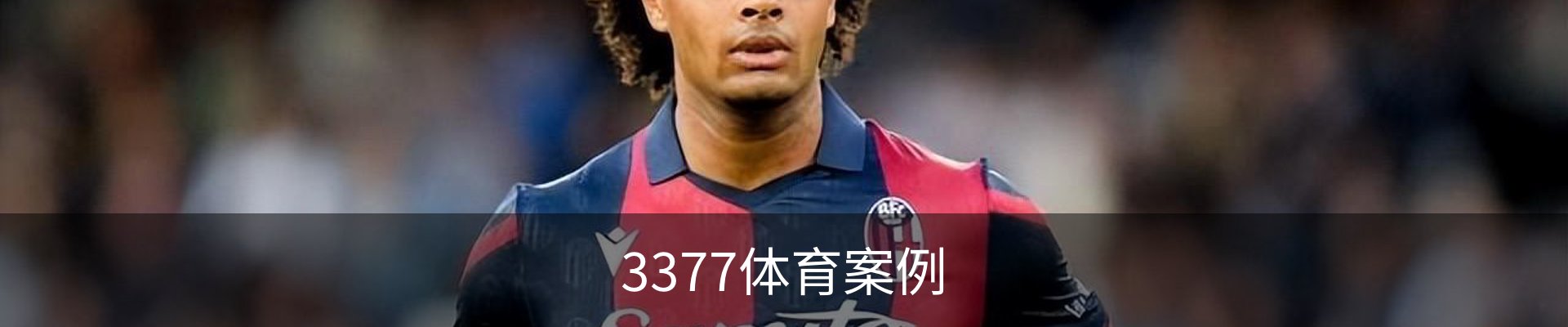 3377体育案例